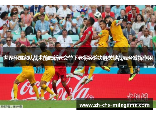 世界杯国家队战术前瞻新老交替下老将经验决胜关键战舞台发挥作用